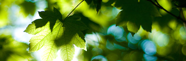 Spirits, die Messe für Körper, Geist und Seele
